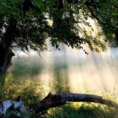 香港2023正版免费资料下载手机版