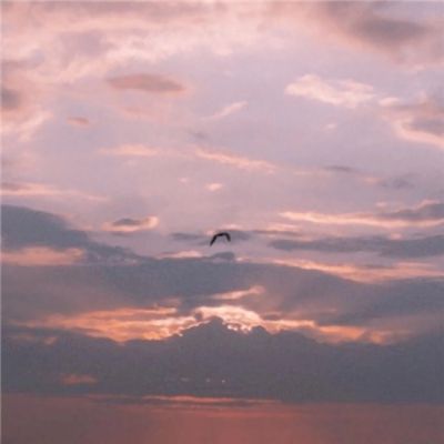 百姓彩票下载手机版