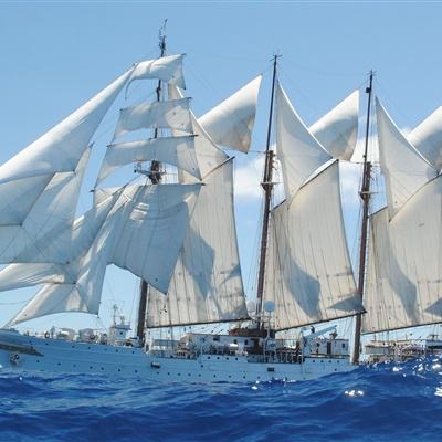 leyu·乐鱼(中国)体育app下载