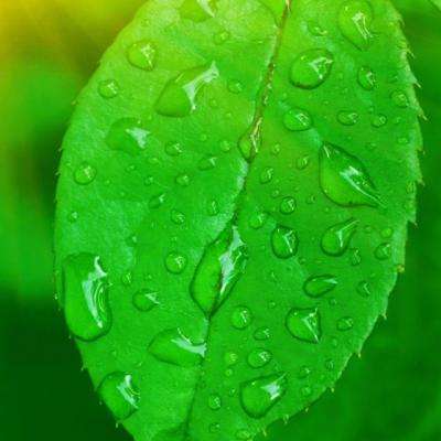 乐宝体育官网登录入口下载手机版